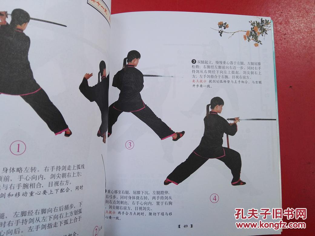 陈式太极传统49式剑(附book dvd光盘)
