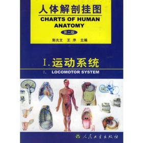 人体解剖挂图——运动系统（51幅）