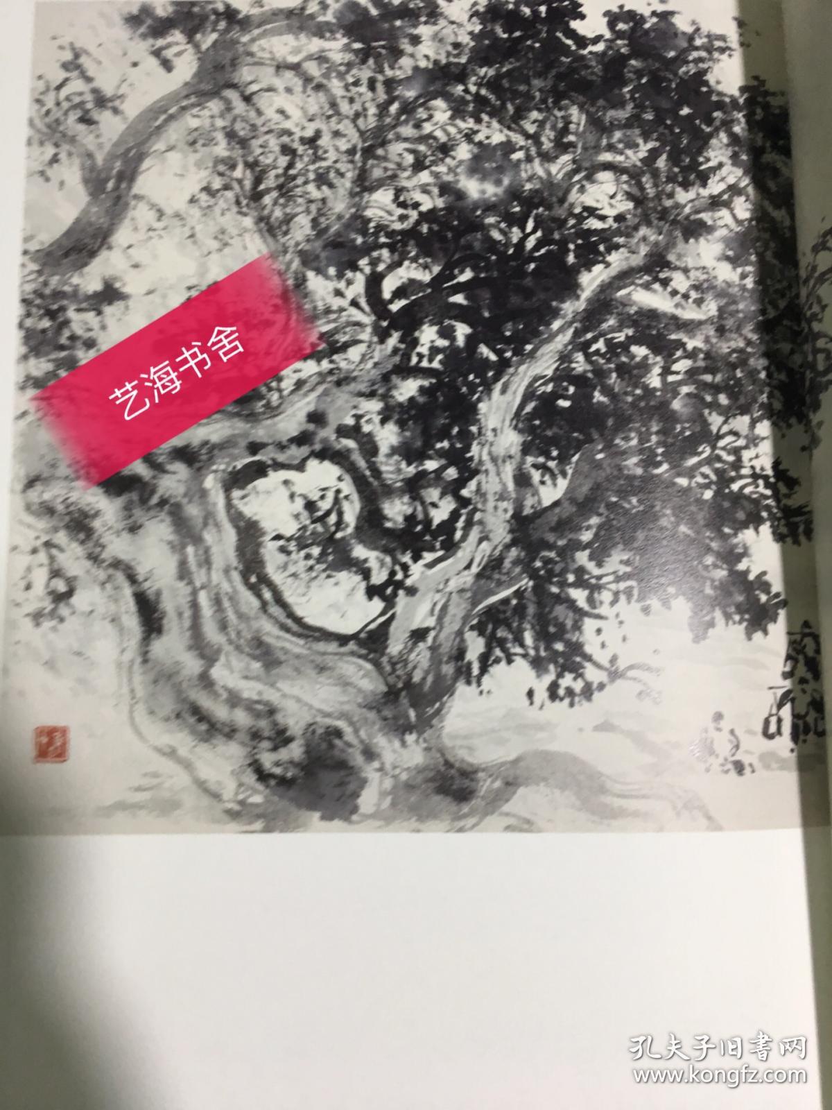 百年雄才 黎雄才写生卷下(四)_岭南画派纪念馆_孔夫子