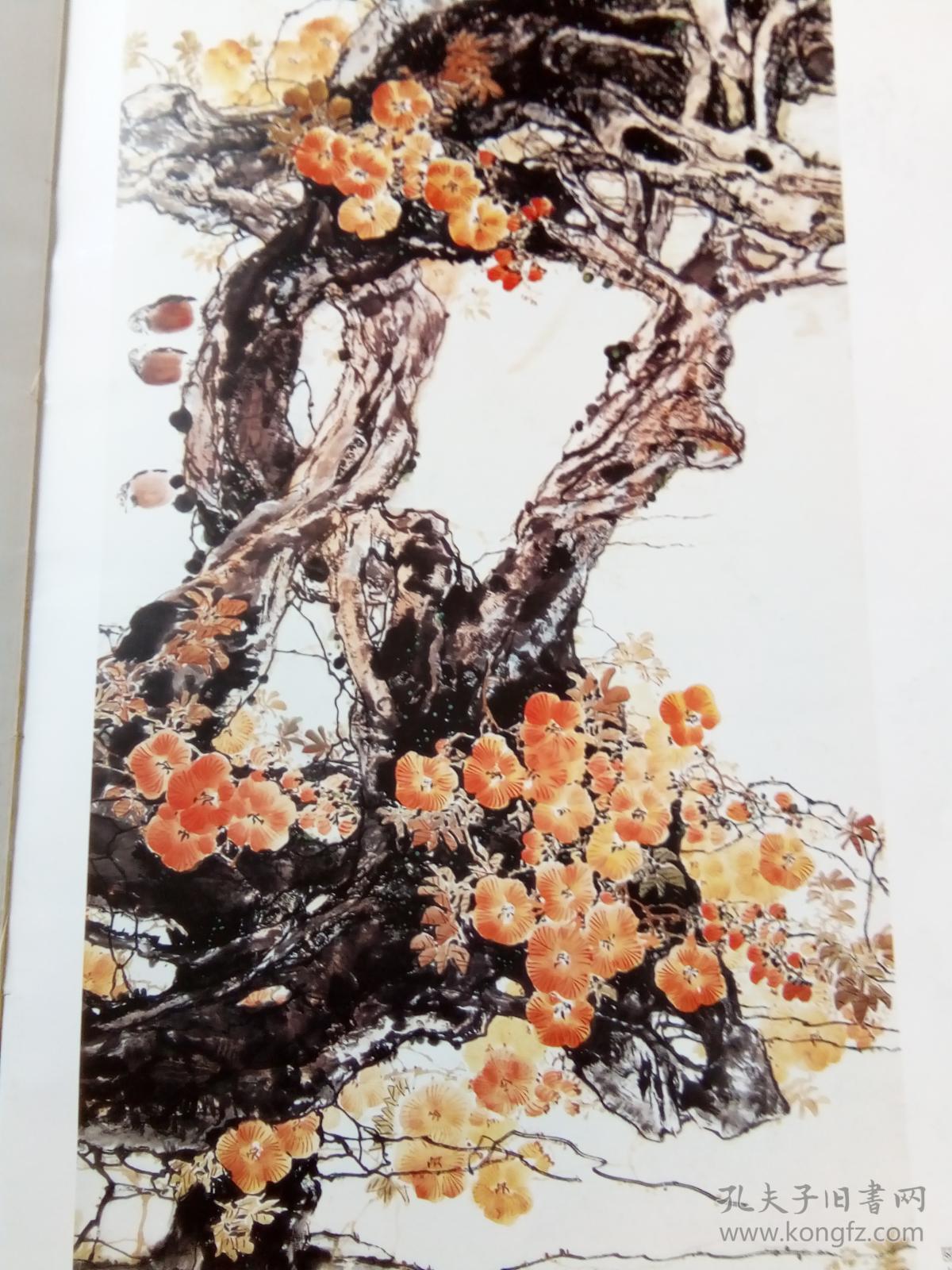 蒋峰花鸟画集