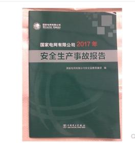 国家电网有限公司2017年安全生产事故报告 中