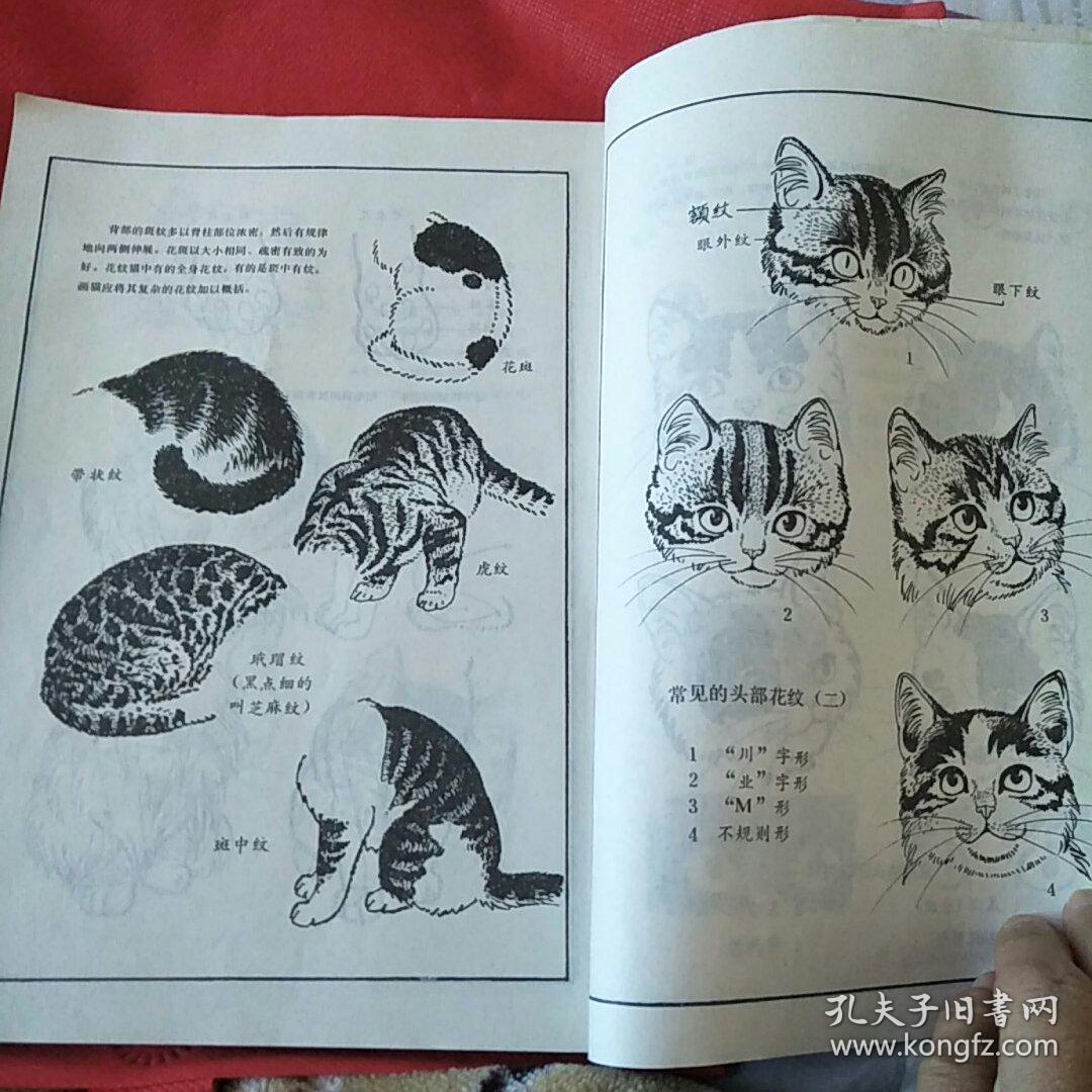 百猫谱 