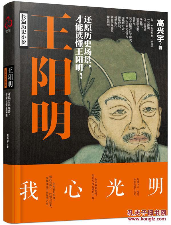 王阳明(高兴宇)_简介_价格_历史书籍_孔网