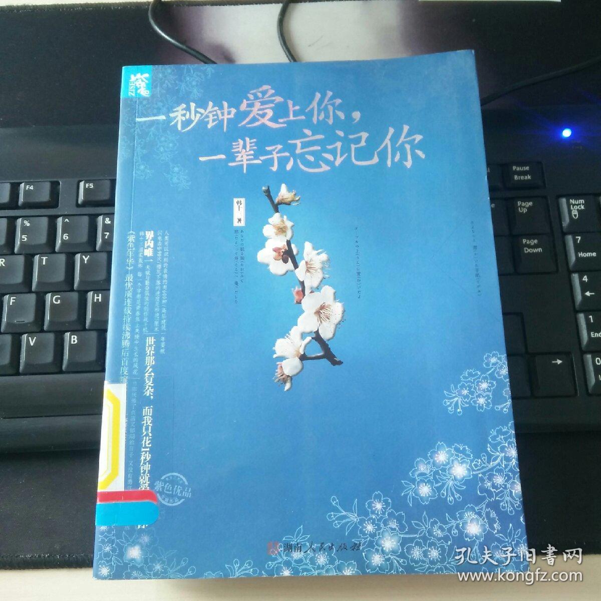 一秒钟爱上你,一辈子忘记你 《馆藏书籍》
