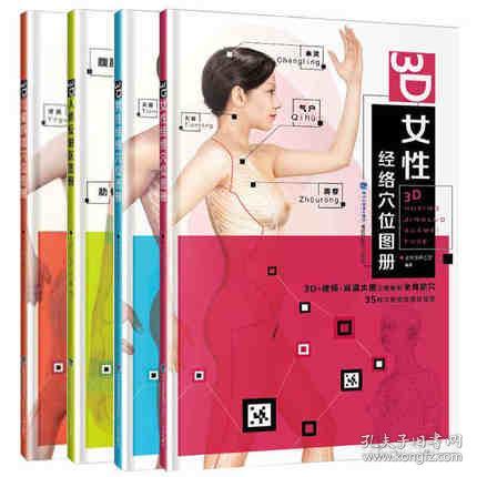 女性经络穴位高清图册