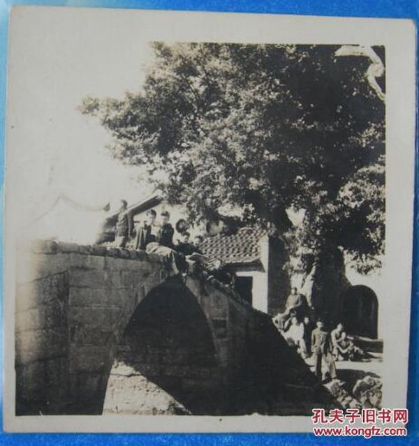 老照片:50年代,古树,古桥,老房子【陌上花开系列】