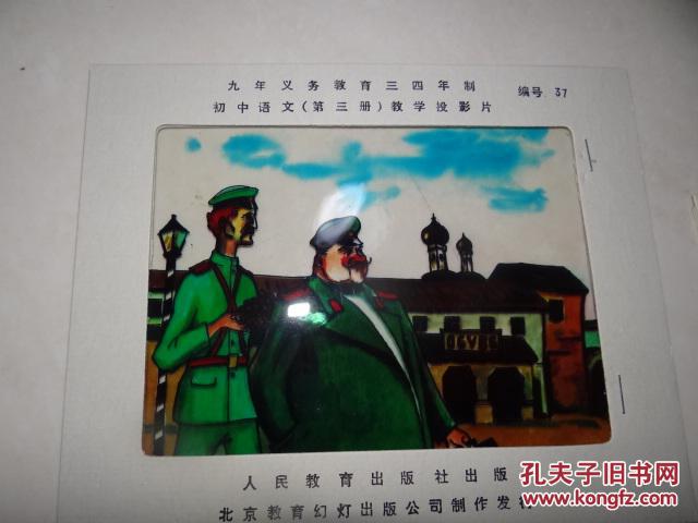 【图】幻灯片 九年义务教育三四年制 初中语文