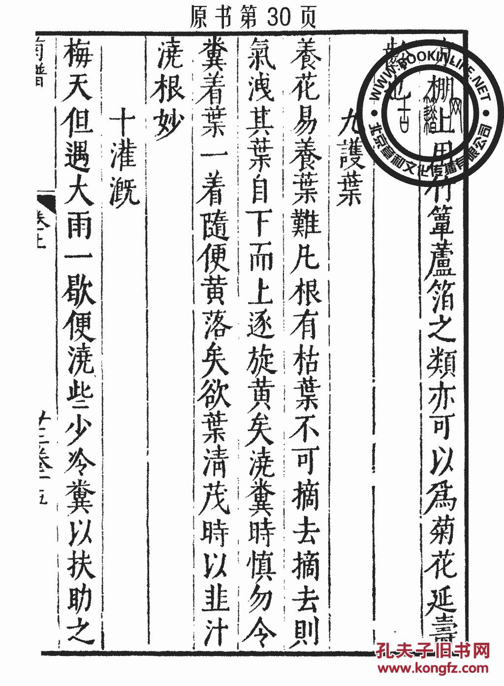 长玉曲谱_玉面小嫣然古筝曲谱(3)