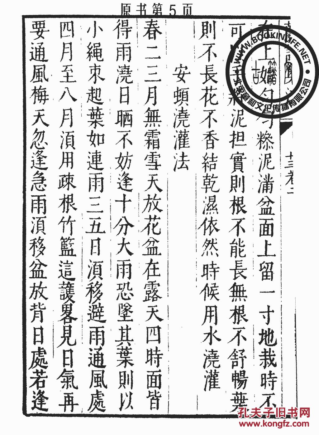 长玉曲谱_玉面小嫣然古筝曲谱(3)
