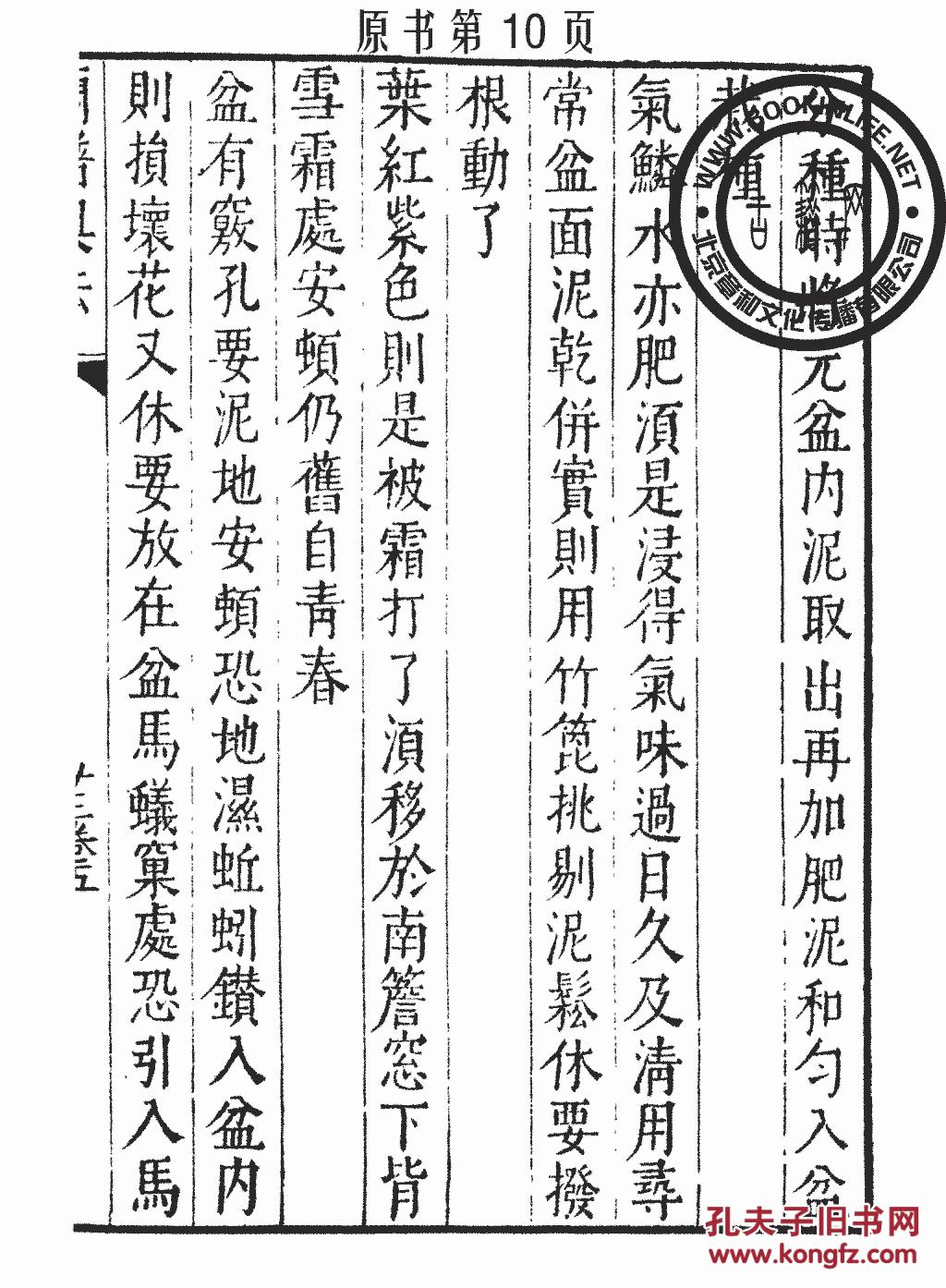 长玉曲谱_玉面小嫣然古筝曲谱(3)