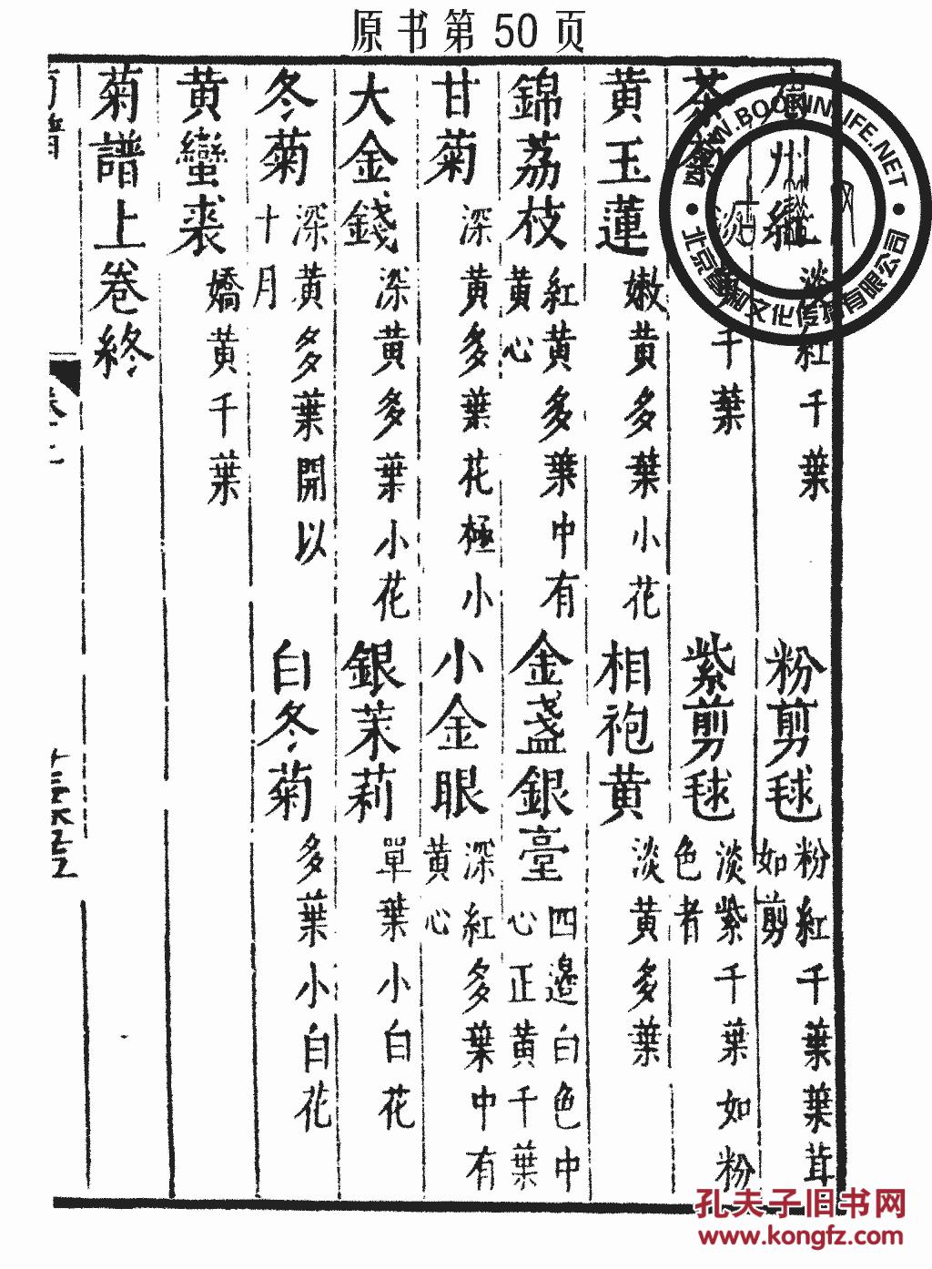 长玉曲谱_玉面小嫣然古筝曲谱(3)