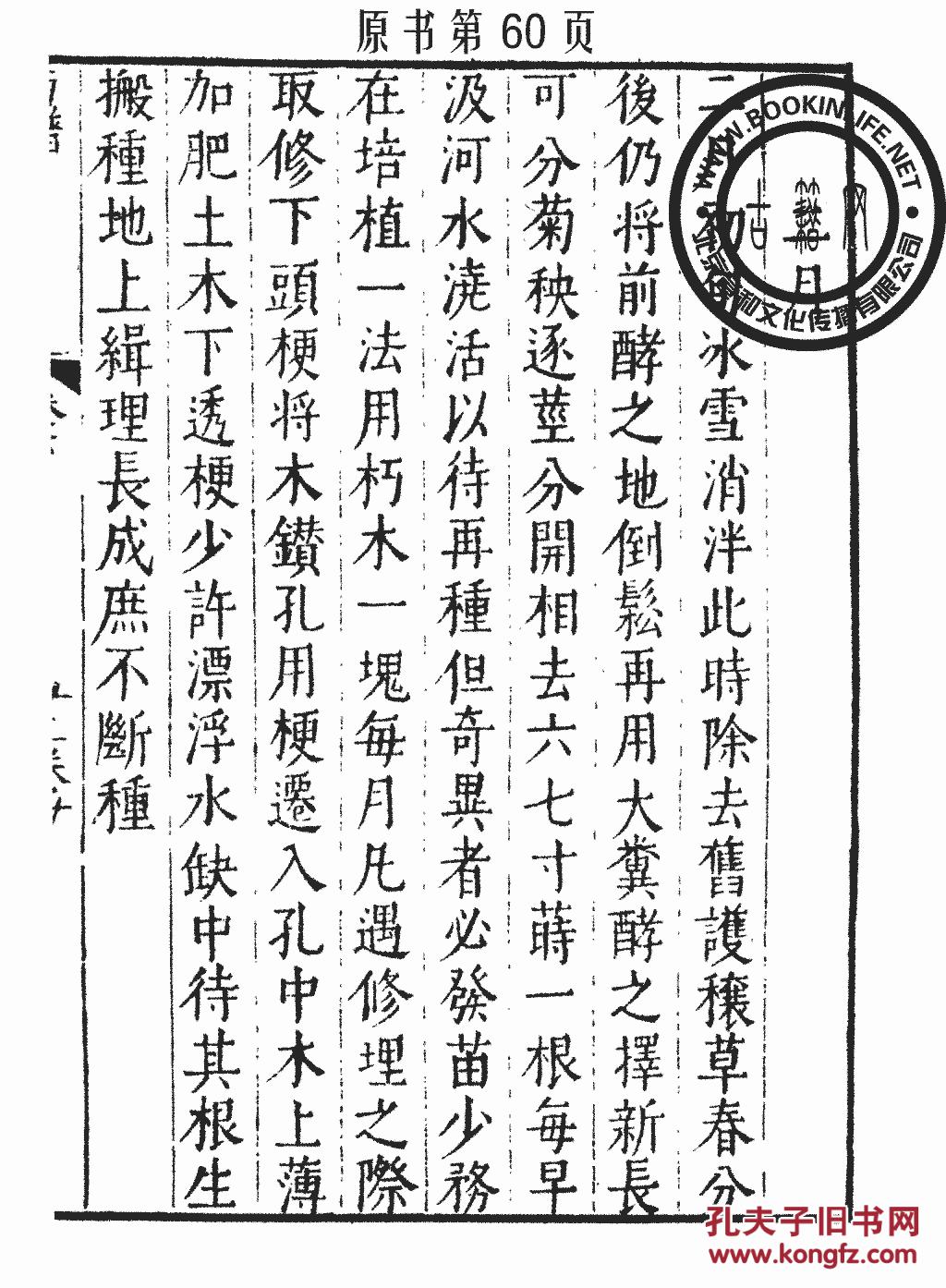 长玉曲谱_玉面小嫣然古筝曲谱(3)