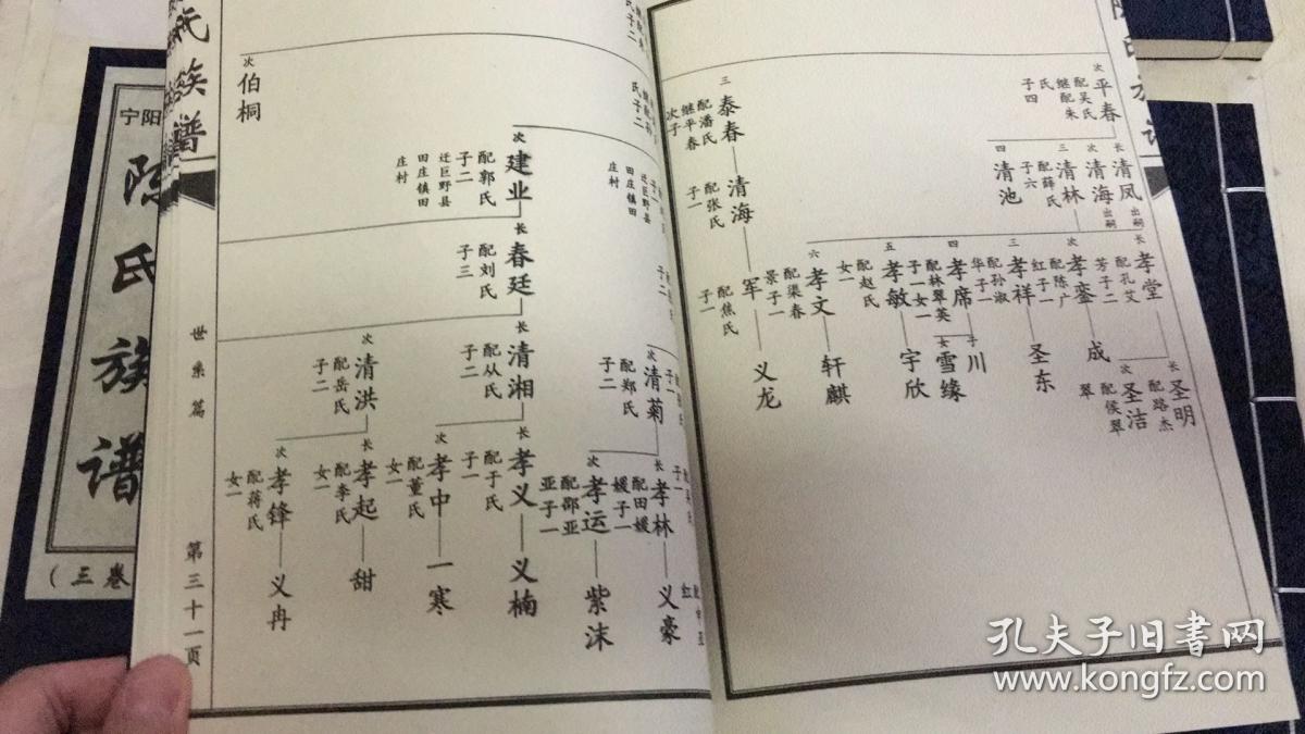 宁阳临汶陈氏族谱 16开线装 全四册 有函套