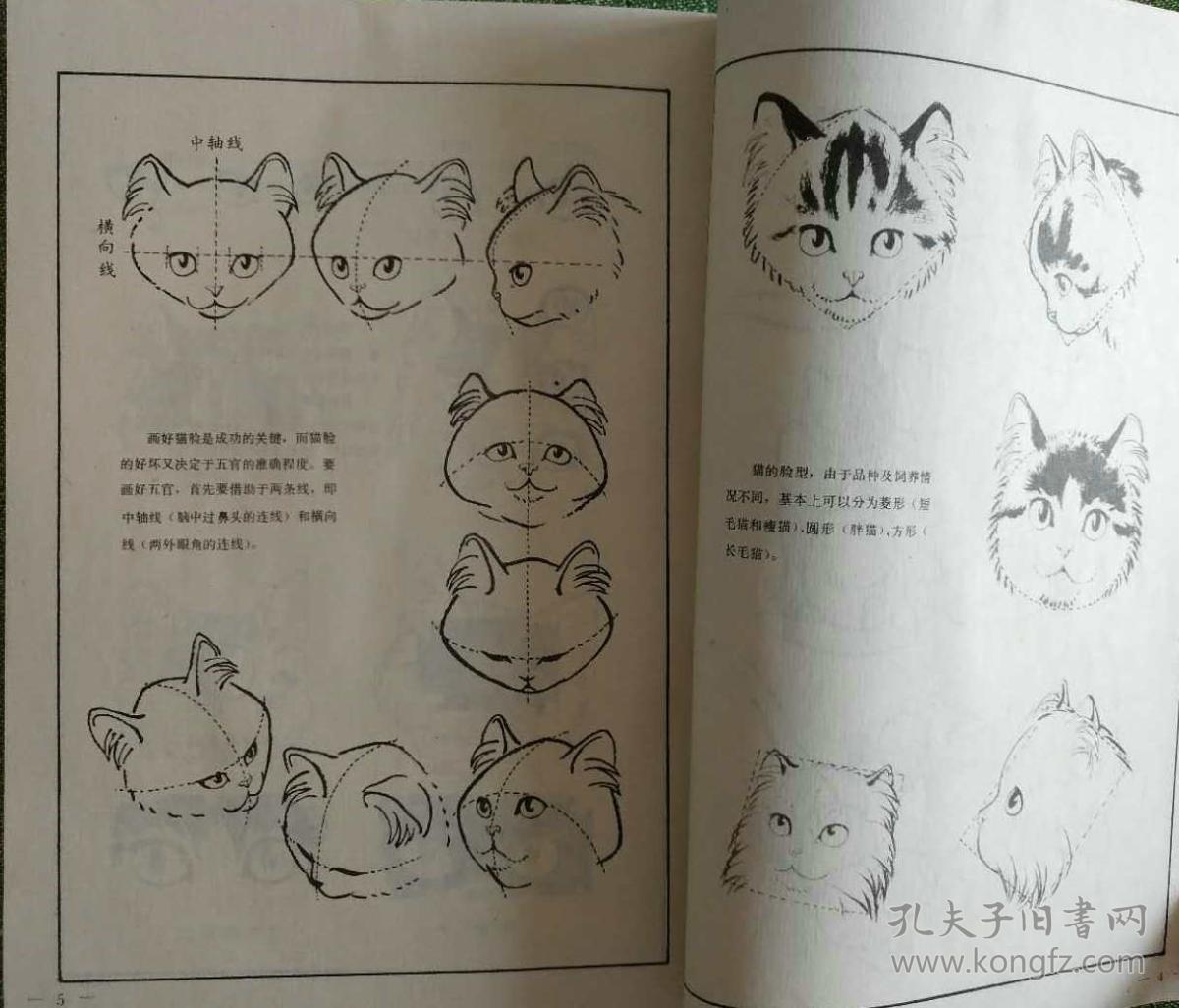 百猫谱 陈增胜绘 天津人民美术出版社 正版