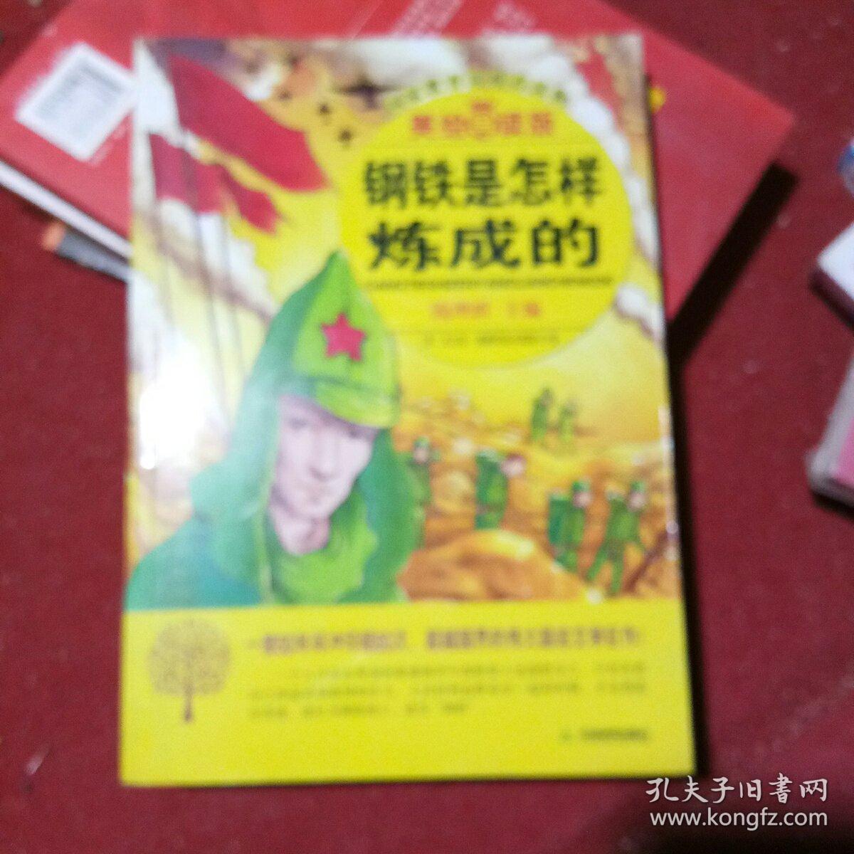 钢铁是怎样炼成的 语文新课标推荐书目 无障碍导读版