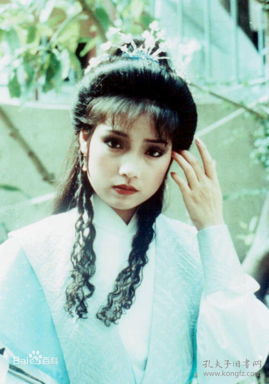 vcd碟 《笑傲江湖》84年周润发版 (20碟)