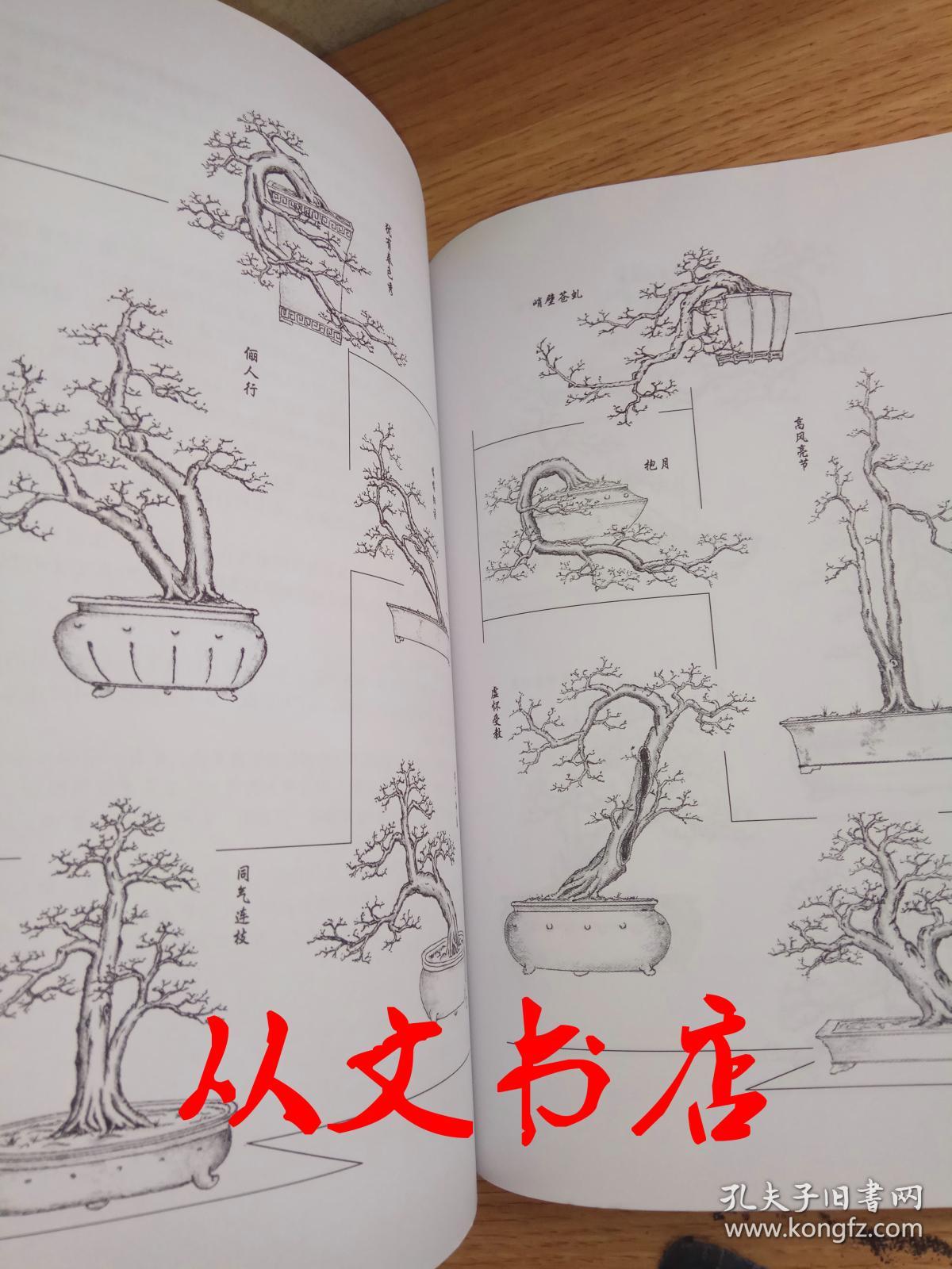 岭南盆景造型艺术