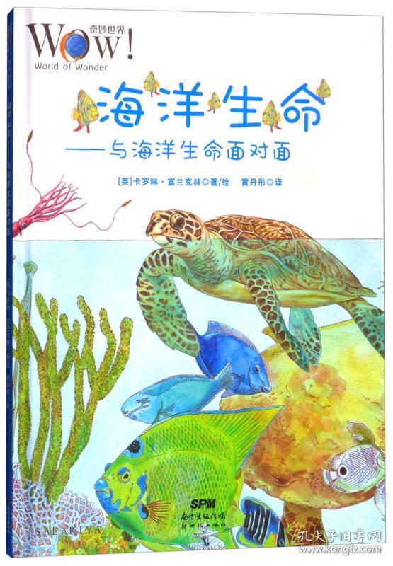 奇妙世界海洋生命与海洋生命面对面