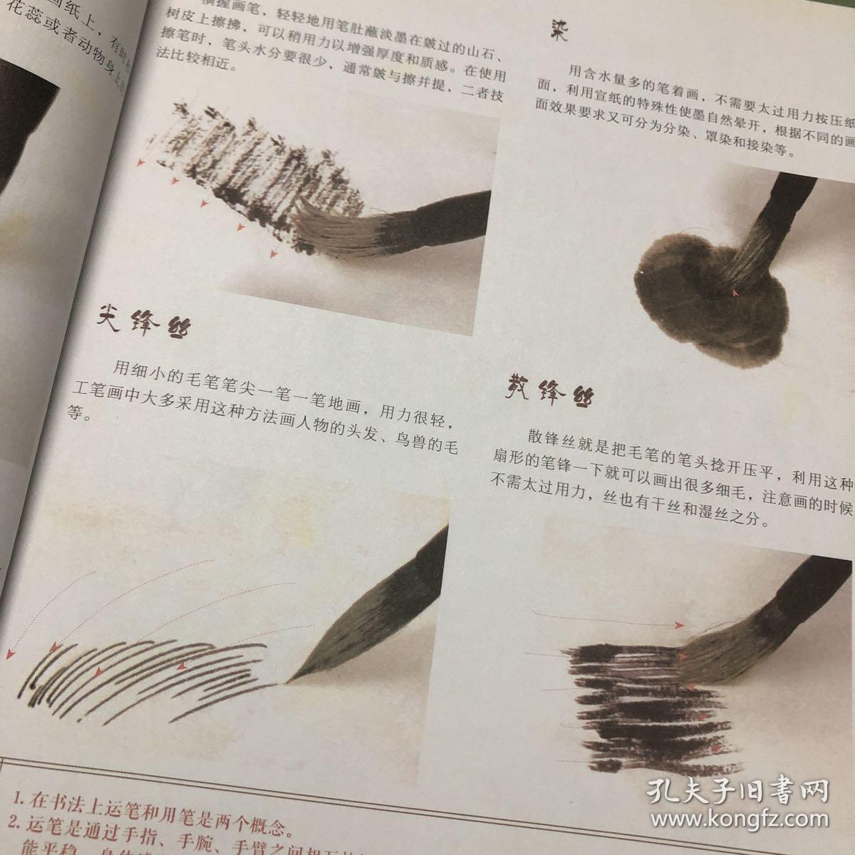 国画技法从入门到精通