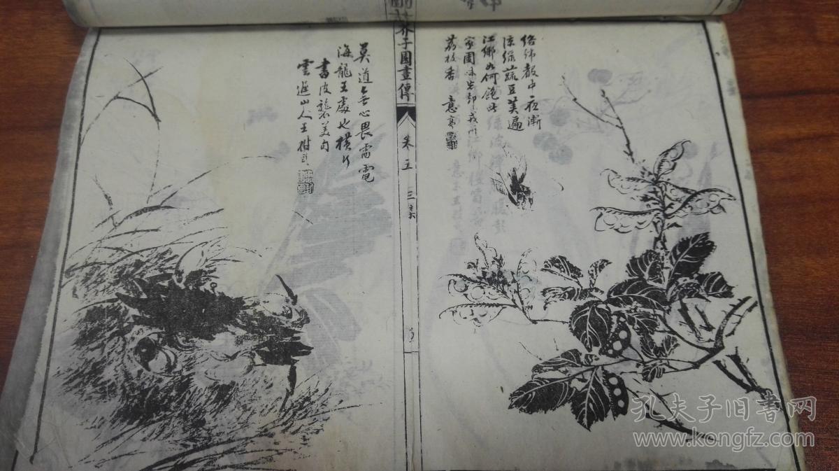 清代 白纸 石印 草装 《芥子园画谱·芥子园画传》 一
