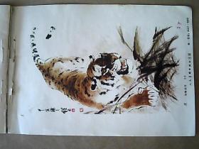32开年画缩样《虎》刘继卣作（1979年）