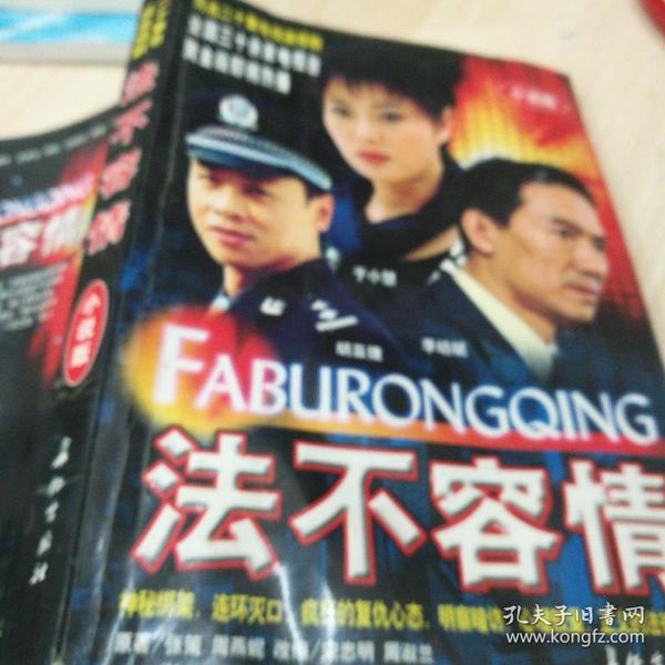 法不容情(小说版)(同名二十集电视连续剧)
