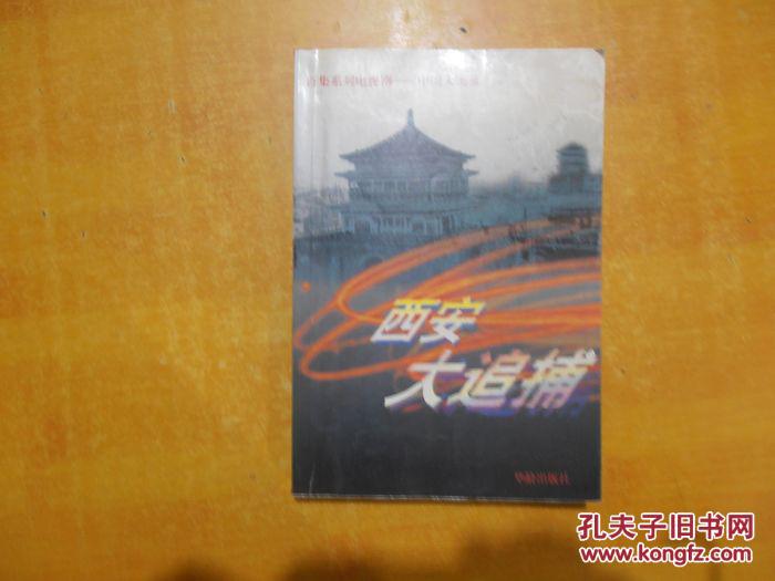 西安大追捕:百集系列电视剧-中国大案录