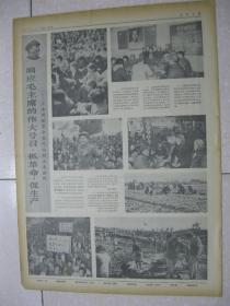 黑红人口_人口普查(2)