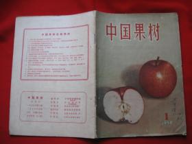中国果树创刊号