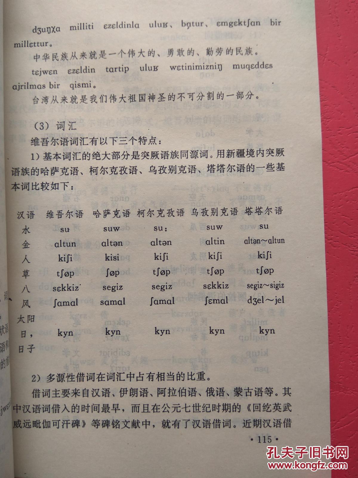 新疆的语言与文字【同类书另出版有:新疆通志 语言文字志,新疆语言