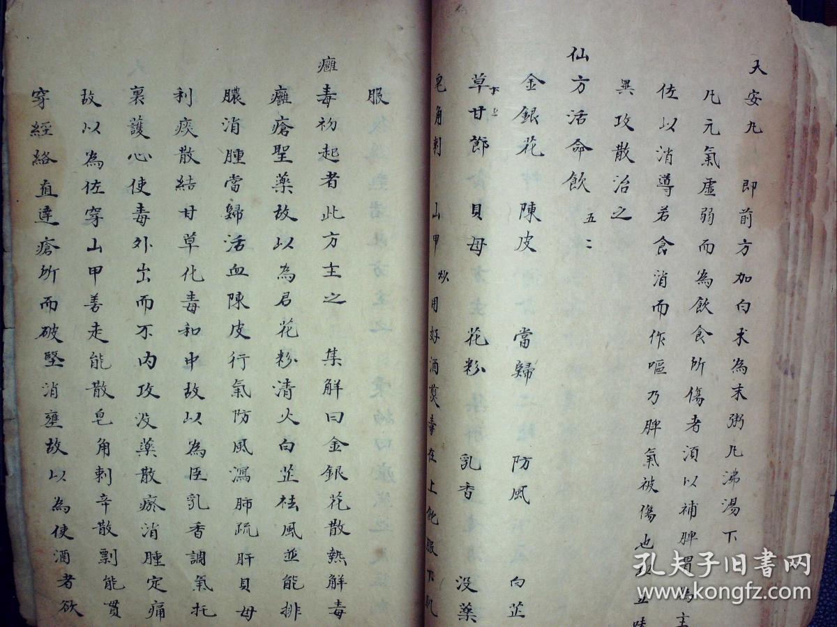 纸张质量上佳,薄而坚韧,难得精品医学手抄.
