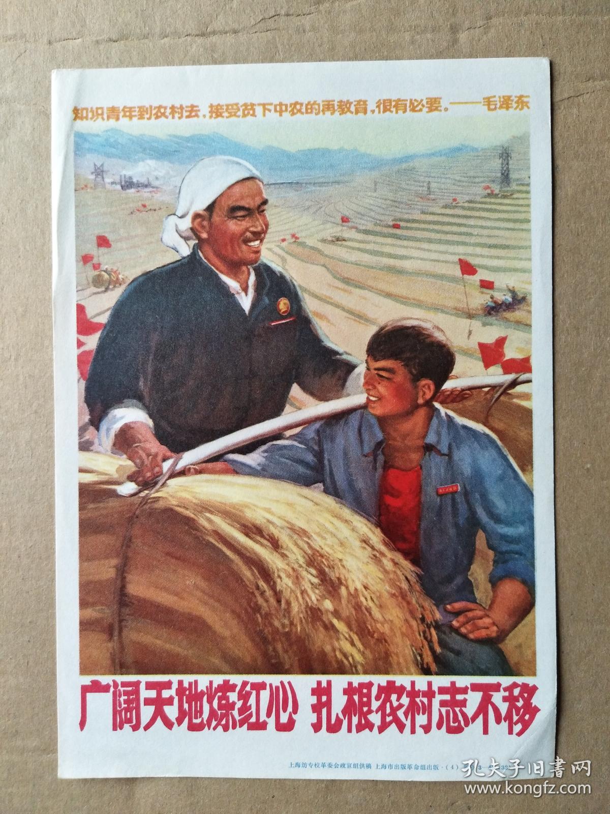 广阔天地炼红心 扎根农村志不移(32开宣传画)