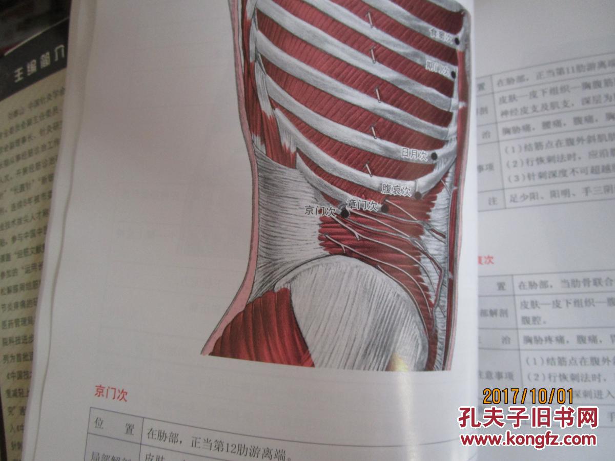 人体经筋循行地图 :; 图解学习人体十二经筋解剖,循行
