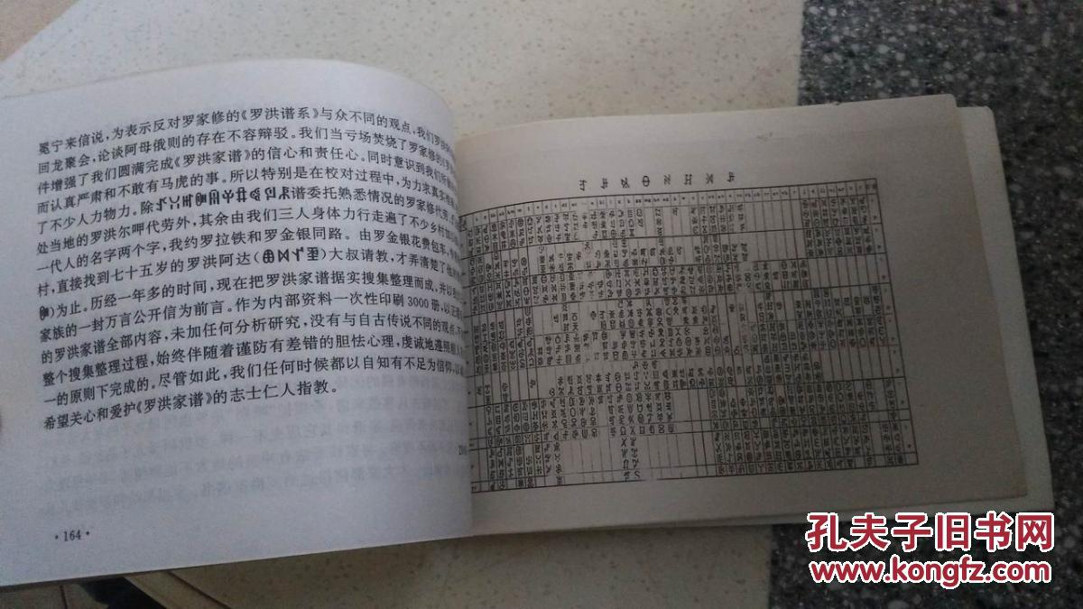 罗洪家谱 罗洪谱系(彝文版)