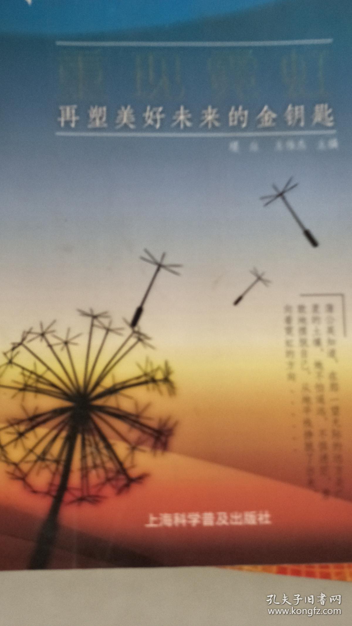 重现霓虹:再塑美好未来的金钥匙