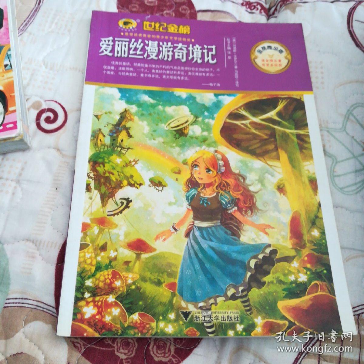 插图版 爱丽丝漫游奇境记 镜中世界 详注本