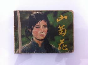 电影版"山菊花"