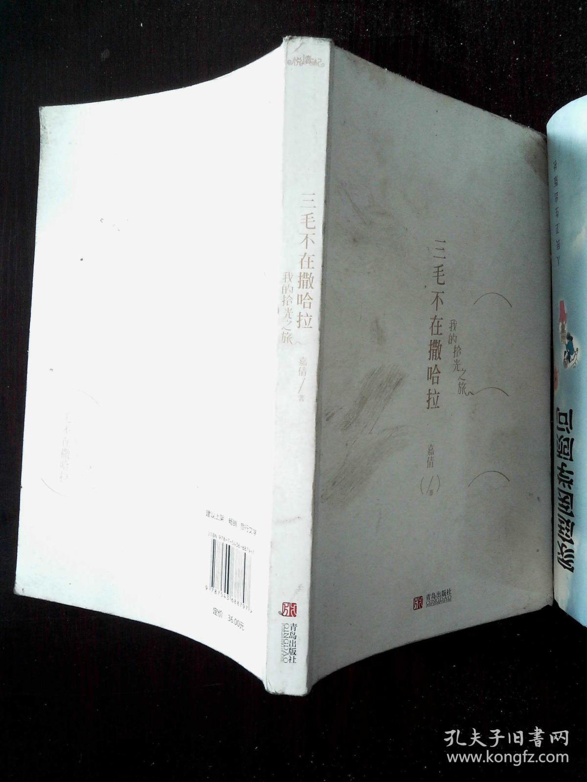 三毛不在撒哈拉:我的拾光之旅