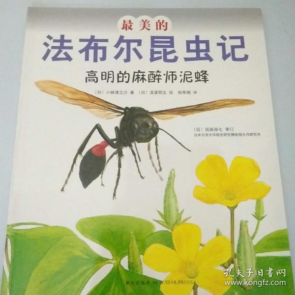 最美的法布尔昆虫记高明的麻醉师泥蜂