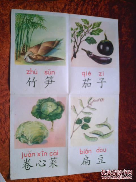 的彩色画图,并用超大号字体一一标明各种蔬菜的名称,有字有画有拼音
