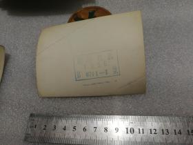 老照片·新华社照片 1956 大家来报名 人人学文