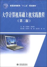 大学计算机基础上机实践教程（第二版）(普通高等教