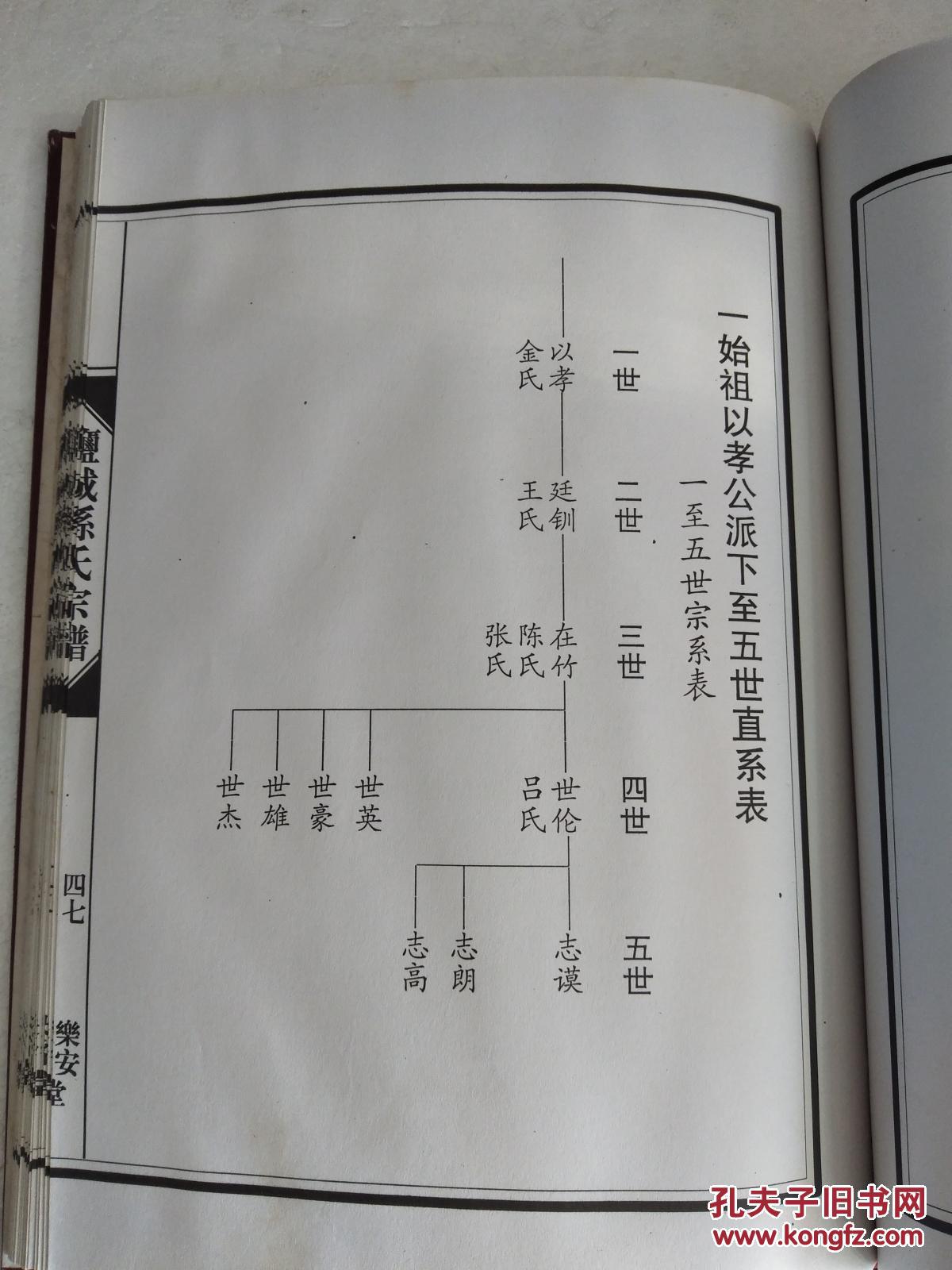 孙氏宗谱【乐安堂】盐城建湖高作支 硬精装 双折页 16