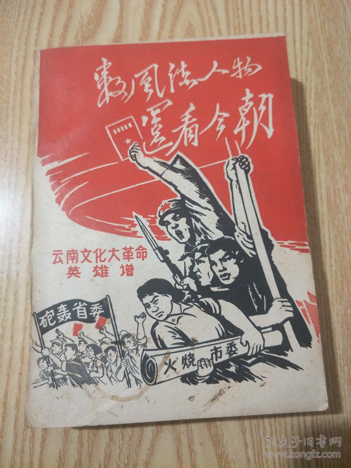 数风流人物还看今朝-云南文化大革命英雄谱