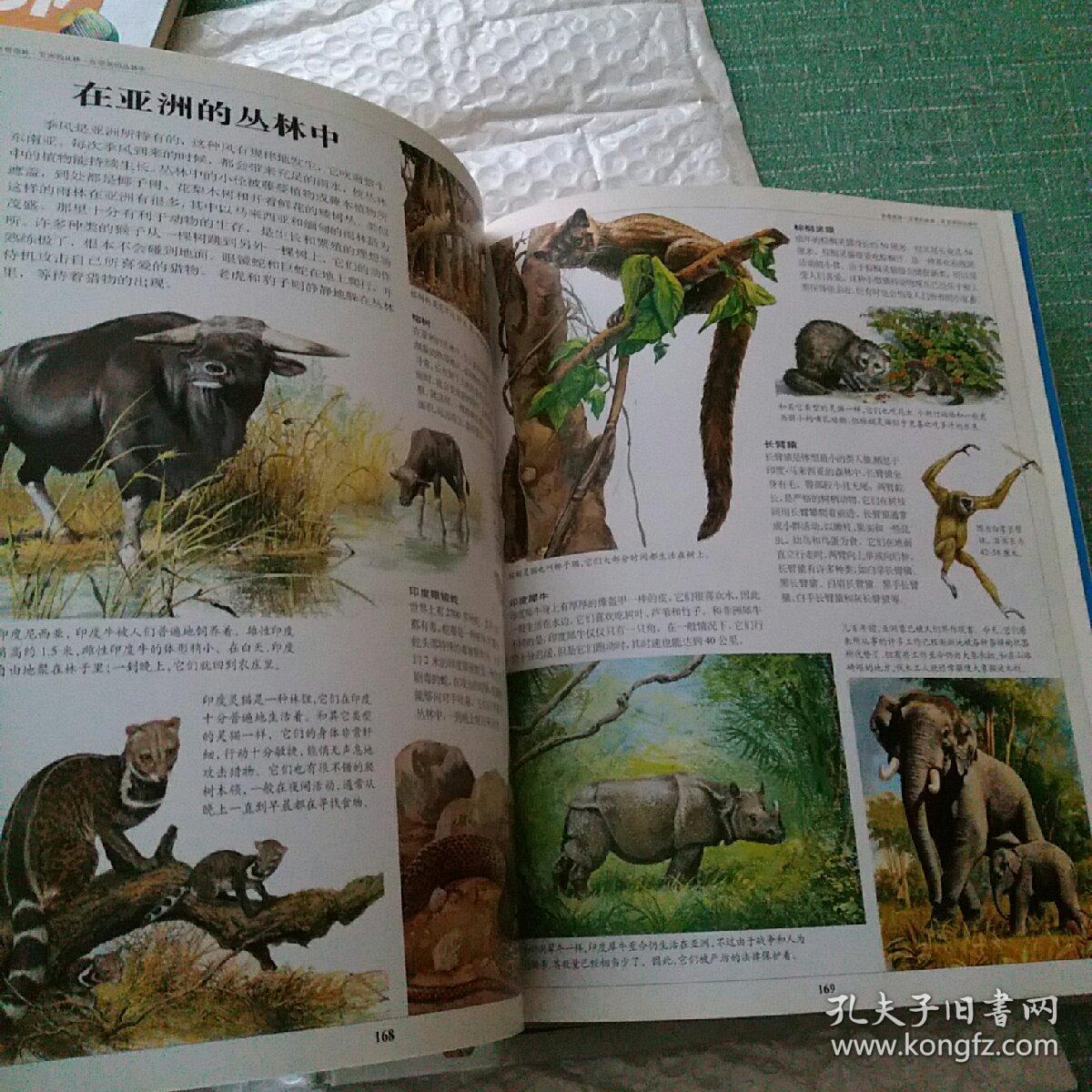 动物世界彩绘百科全书
