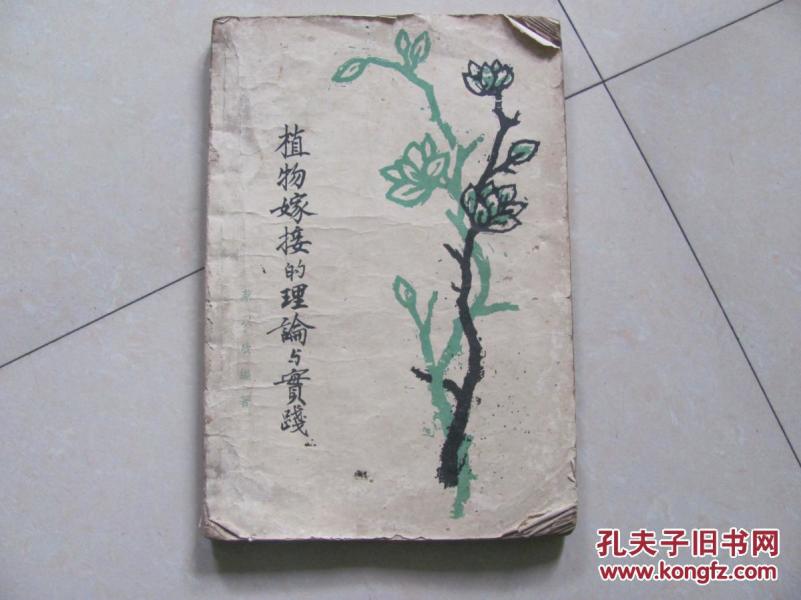 植物嫁接的原理是什么_植物嫁接的图片