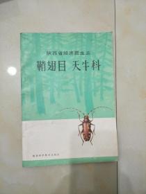 鞘翅目天牛科——陕西省经济昆虫志
