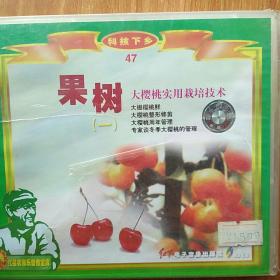 果树（一）  大樱桃实用栽培技术   VCD
