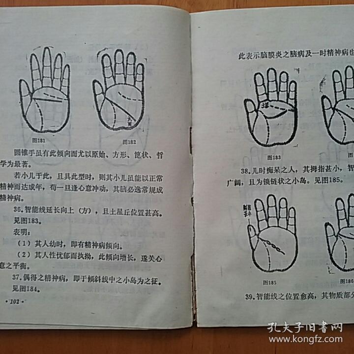 手相学图解