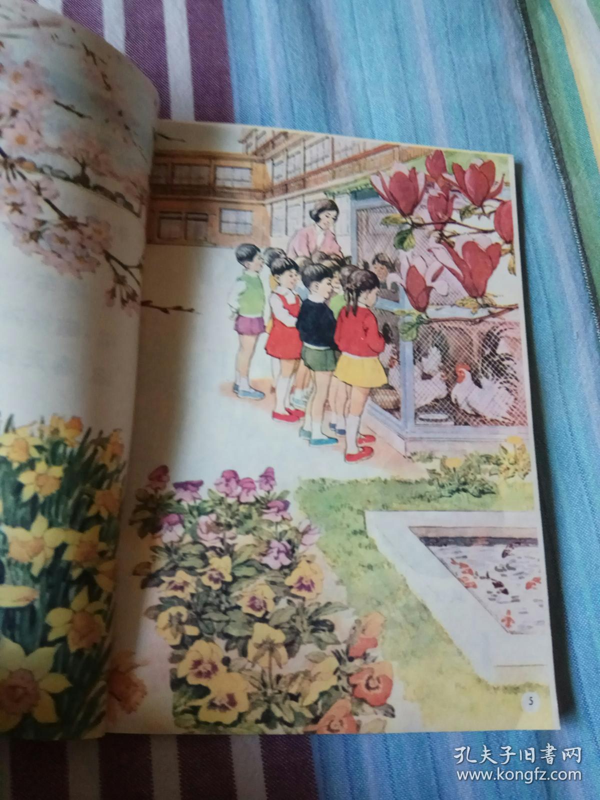 日本小学教科书新理科(自然常识)